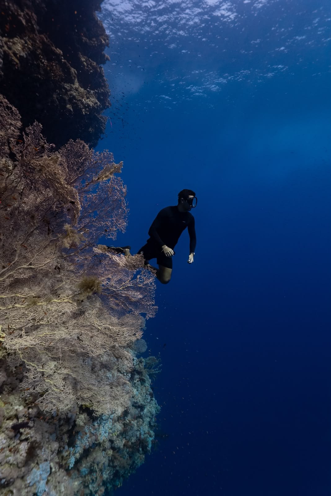 Freediver over the reef