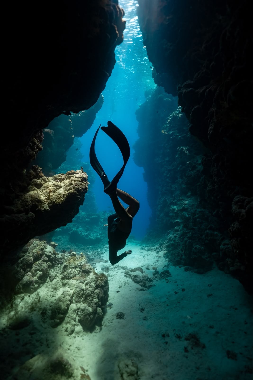 Freediver descending the reef wall